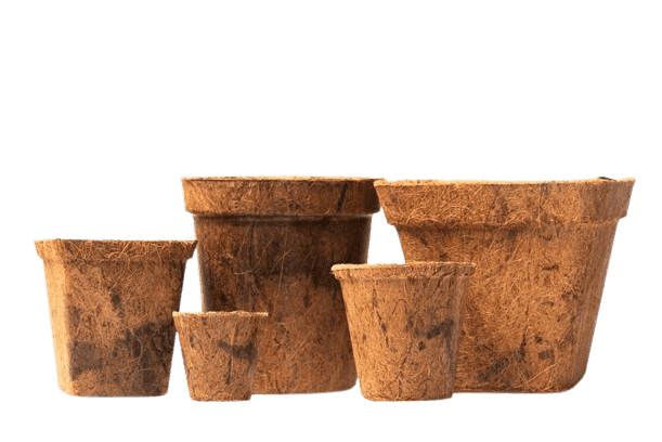 Coco Pots